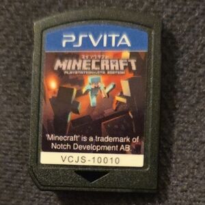 Minecraft PlayStation Edition Game Card - Black